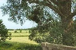 Logis La Foret Ξενοδοχείο 2*
